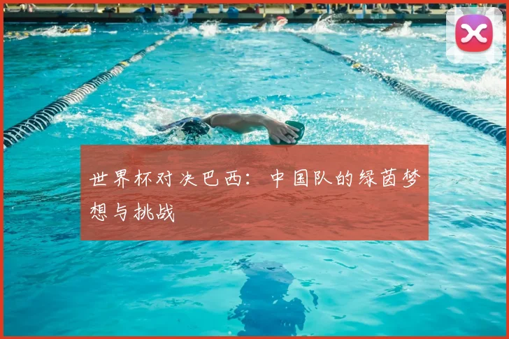 世界杯对决巴西：中国队的绿茵梦想与挑战